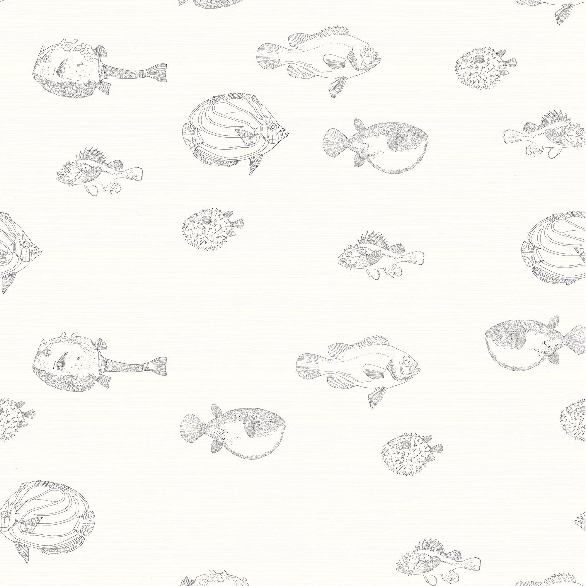 ACUARIO NAUTILUS A TINTA. A medida y en varios colores. Despégalo y pégalo donde quieras. - vinilaroom