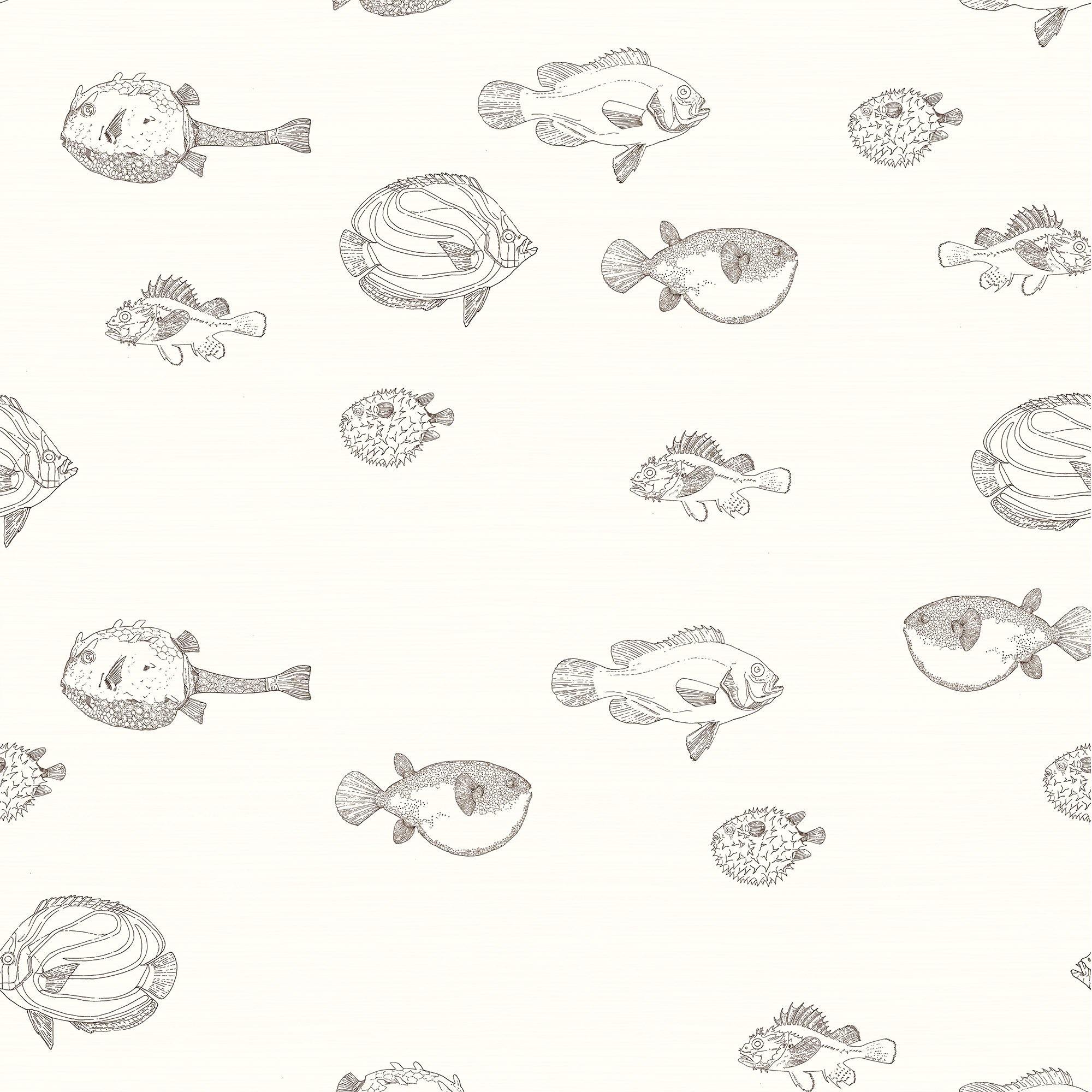 ACUARIO NAUTILUS A TINTA. A medida y en varios colores. Despégalo y pégalo donde quieras. - vinilaroom