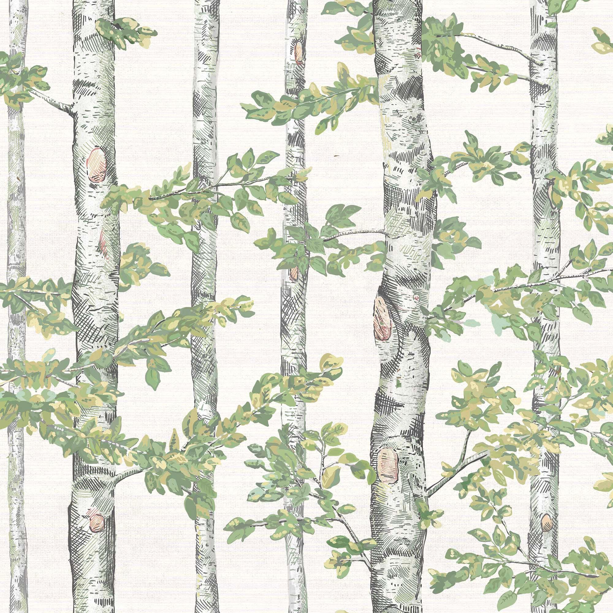 PRIMAVERA EN EL ABEDUL. A medida y en varios colores. Despégalo y pégalo donde quieras. - vinilaroom