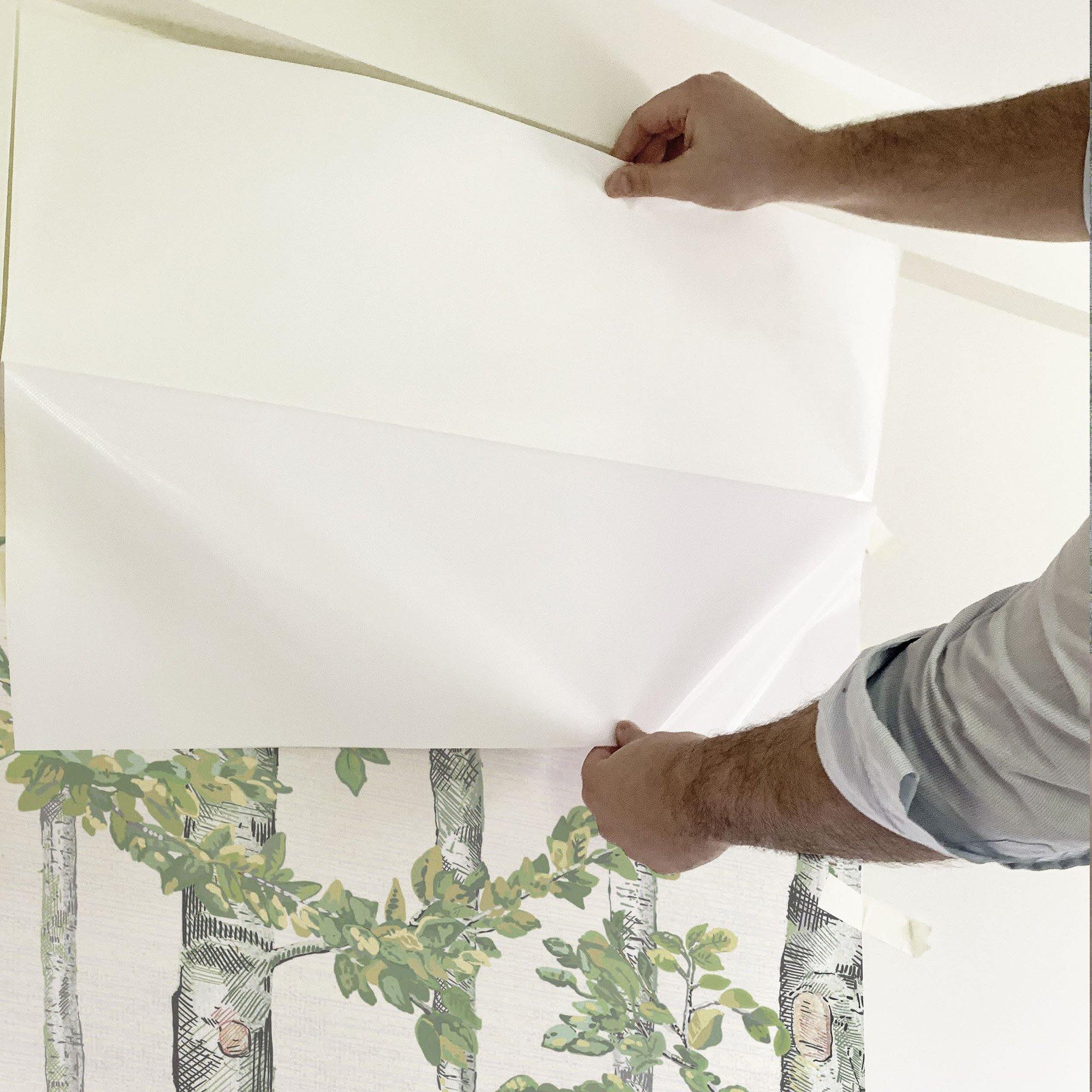 PRIMAVERA EN EL ABEDUL. A medida y en varios colores. Despégalo y pégalo donde quieras. - vinilaroom