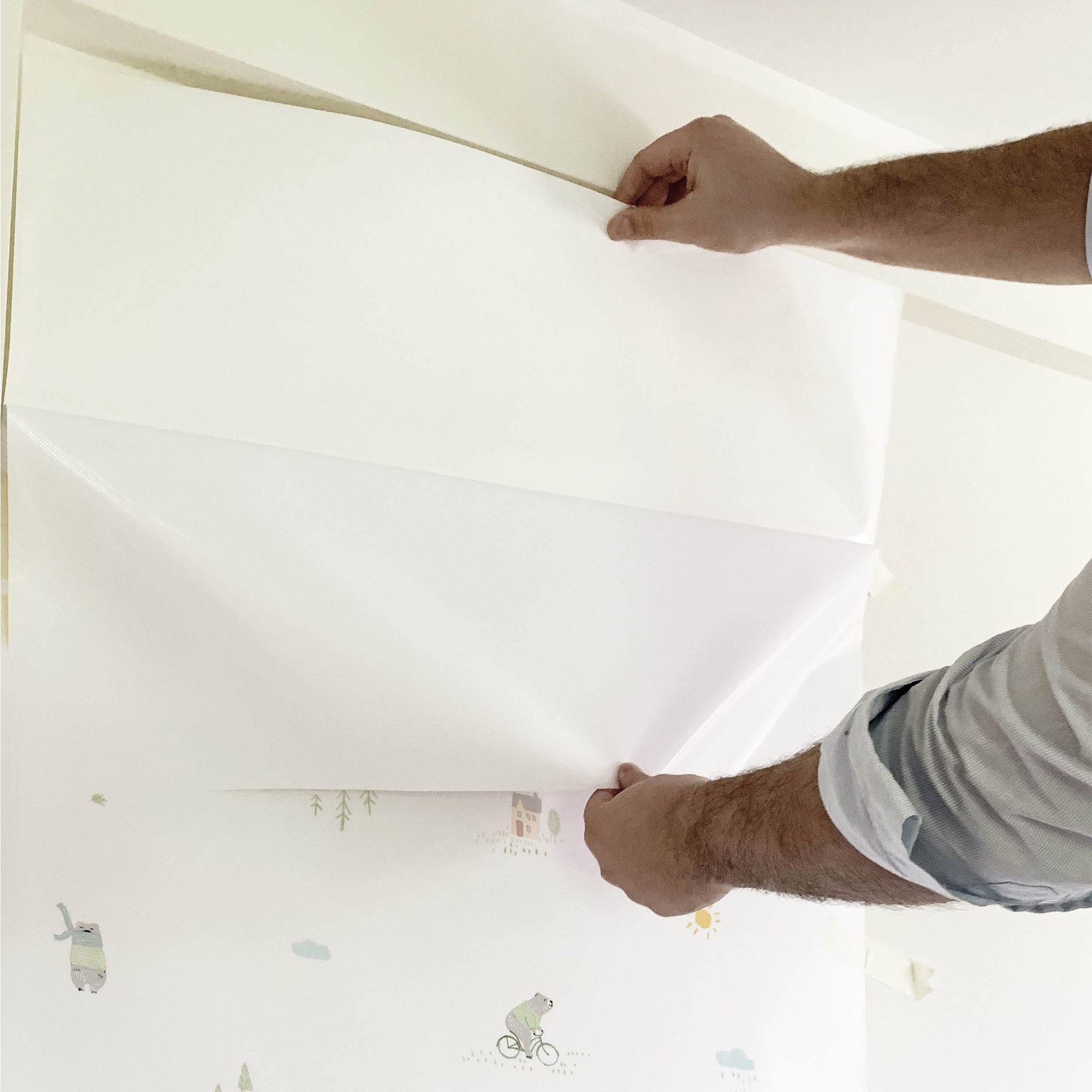 Leo el Oso. Papel de Vinilo Autoadhesivo. Fondo Blanco Roto - vinilaroom