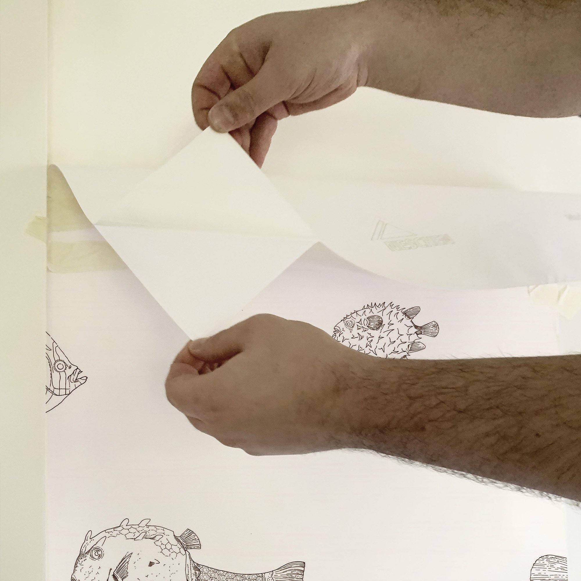 ACUARIO NAUTILUS A TINTA. A medida y en varios colores. Despégalo y pégalo donde quieras. - vinilaroom