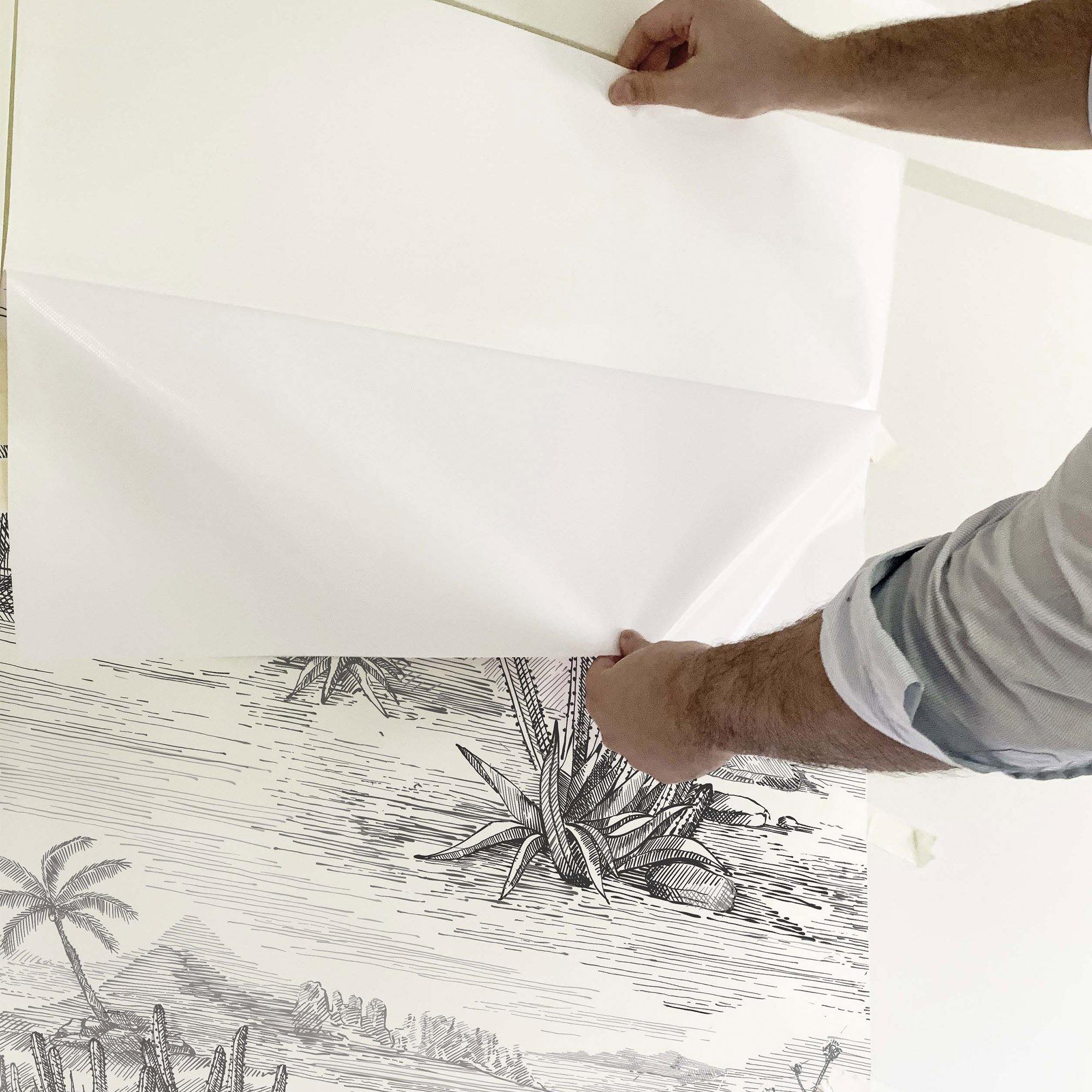 CACTUS DEL DESIERTO. A medida y en varios colores. Despégalo y pégalo donde quieras. - vinilaroom