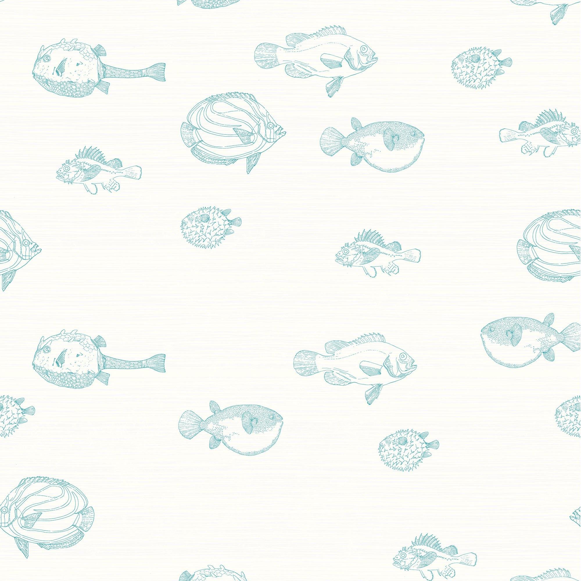 ACUARIO NAUTILUS A TINTA. A medida y en varios colores. Despégalo y pégalo donde quieras. - vinilaroom