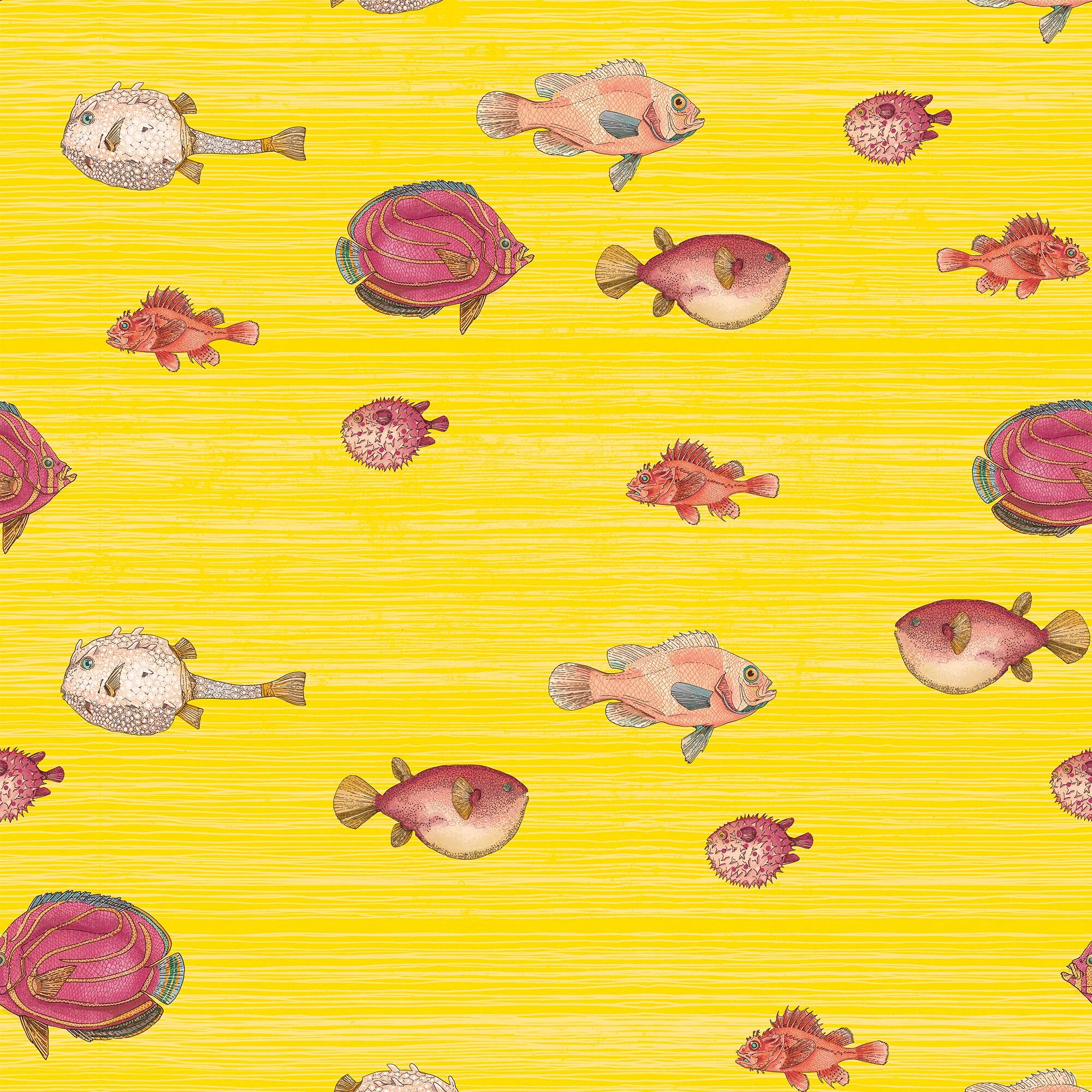 ACUARIO NAUTILUS. A medida y en varios colores de fondo. Despégalo y pégalo donde quieras - vinilaroom