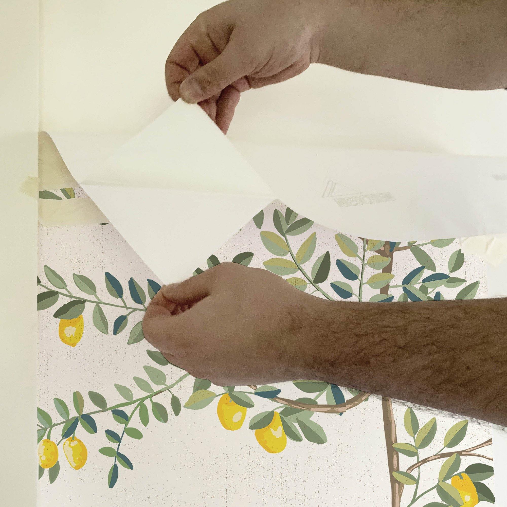 El sol del limonero. A medida. Fondo Blanco Roto. Despégalo y pégalo donde quieras - vinilaroom