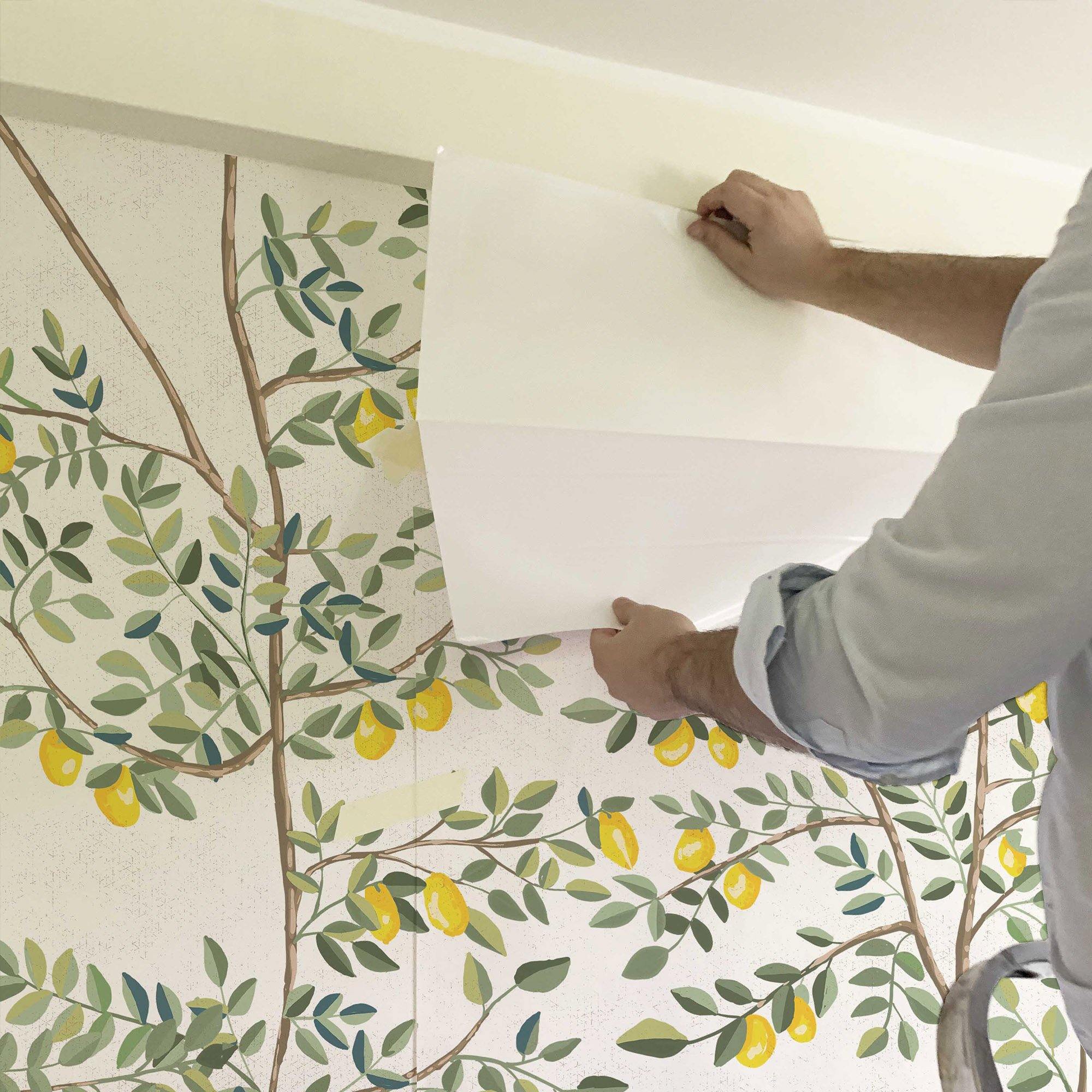 El sol del limonero. A medida. Fondo Blanco Roto. Despégalo y pégalo donde quieras - vinilaroom
