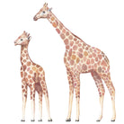 2 Jirafas Africanas en vinilo autoadhesivo. Altura 170cm y 120cm. Despégalas y pégalas donde quieras - vinilaroom