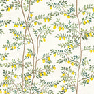 El sol del limonero. A medida. Fondo Blanco Roto. Despégalo y pégalo donde quieras - vinilaroom