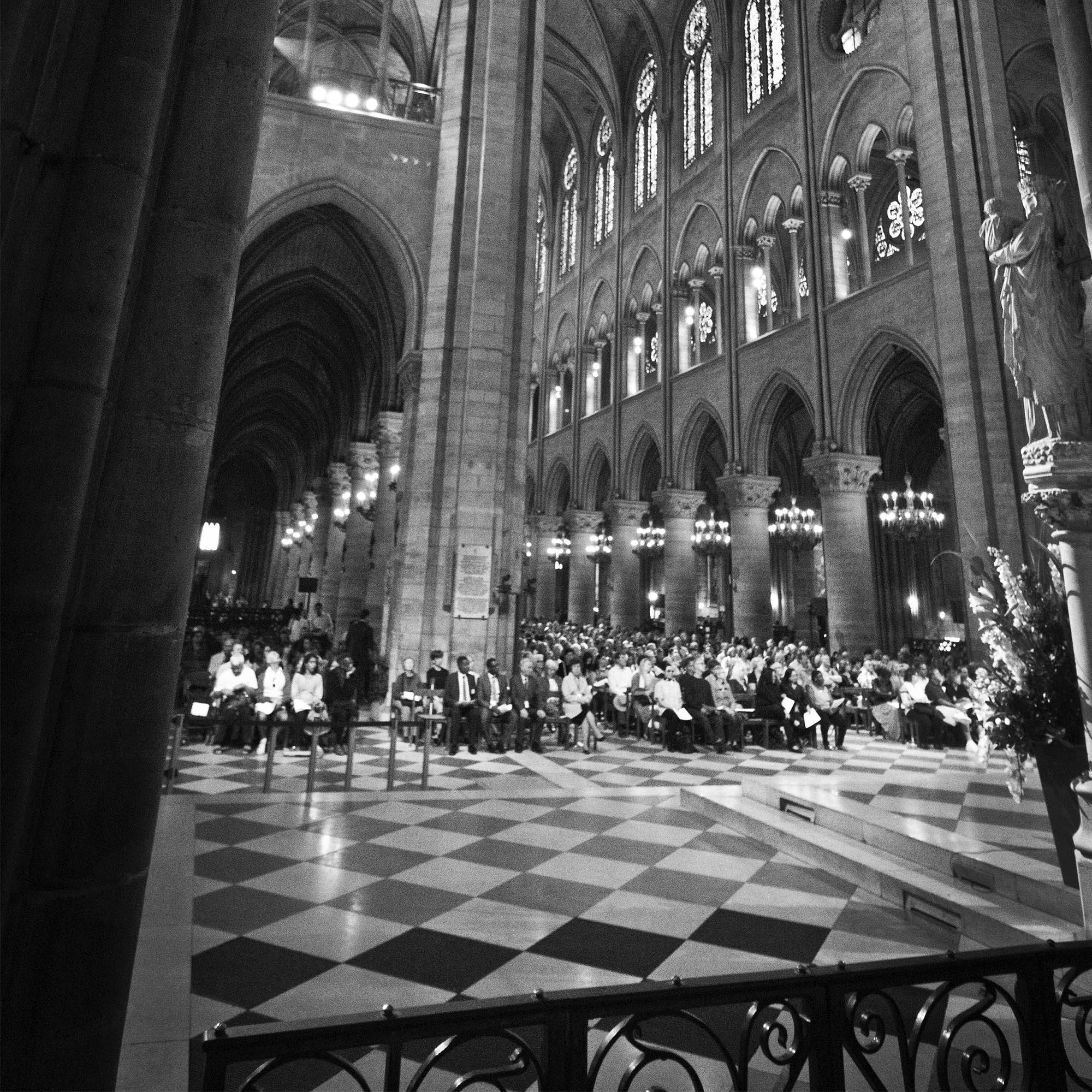Suelo Notre Dame Paris. Varios colores. Despegalo y pegalo donde quieras. - vinilaroom