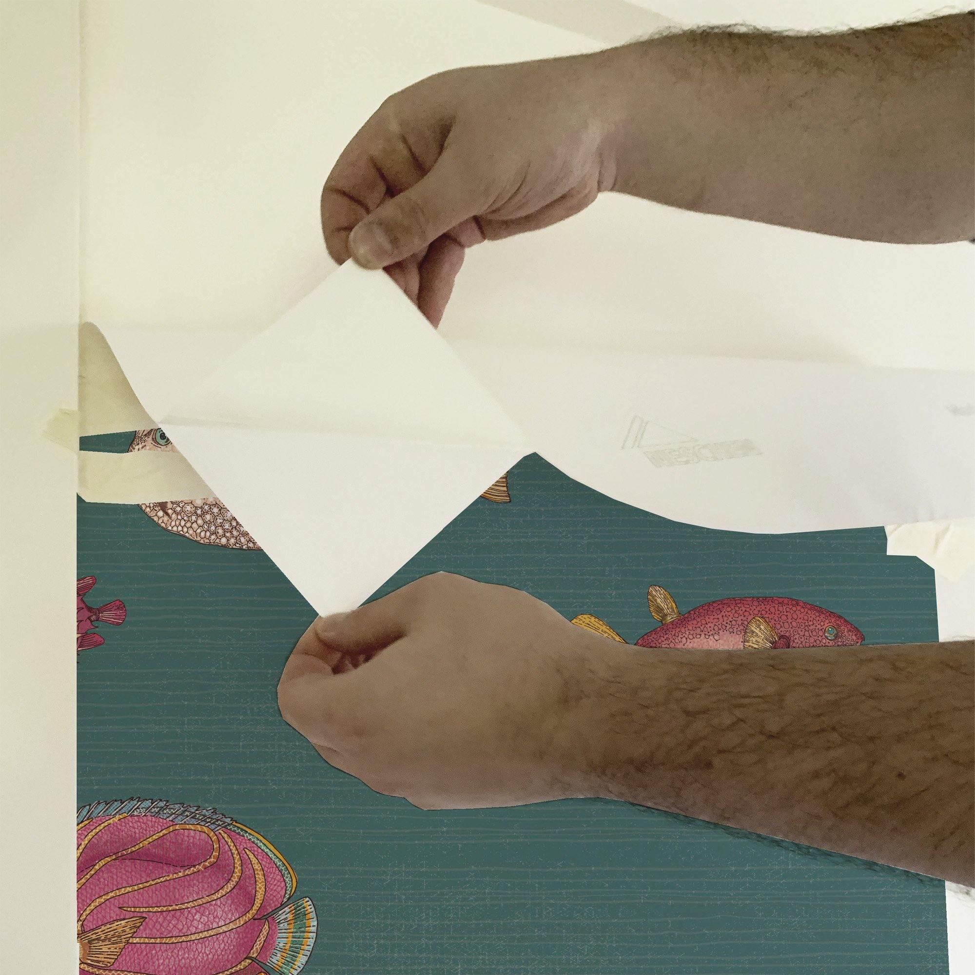 ACUARIO NAUTILUS. A medida y en varios colores de fondo. Despégalo y pégalo donde quieras - vinilaroom