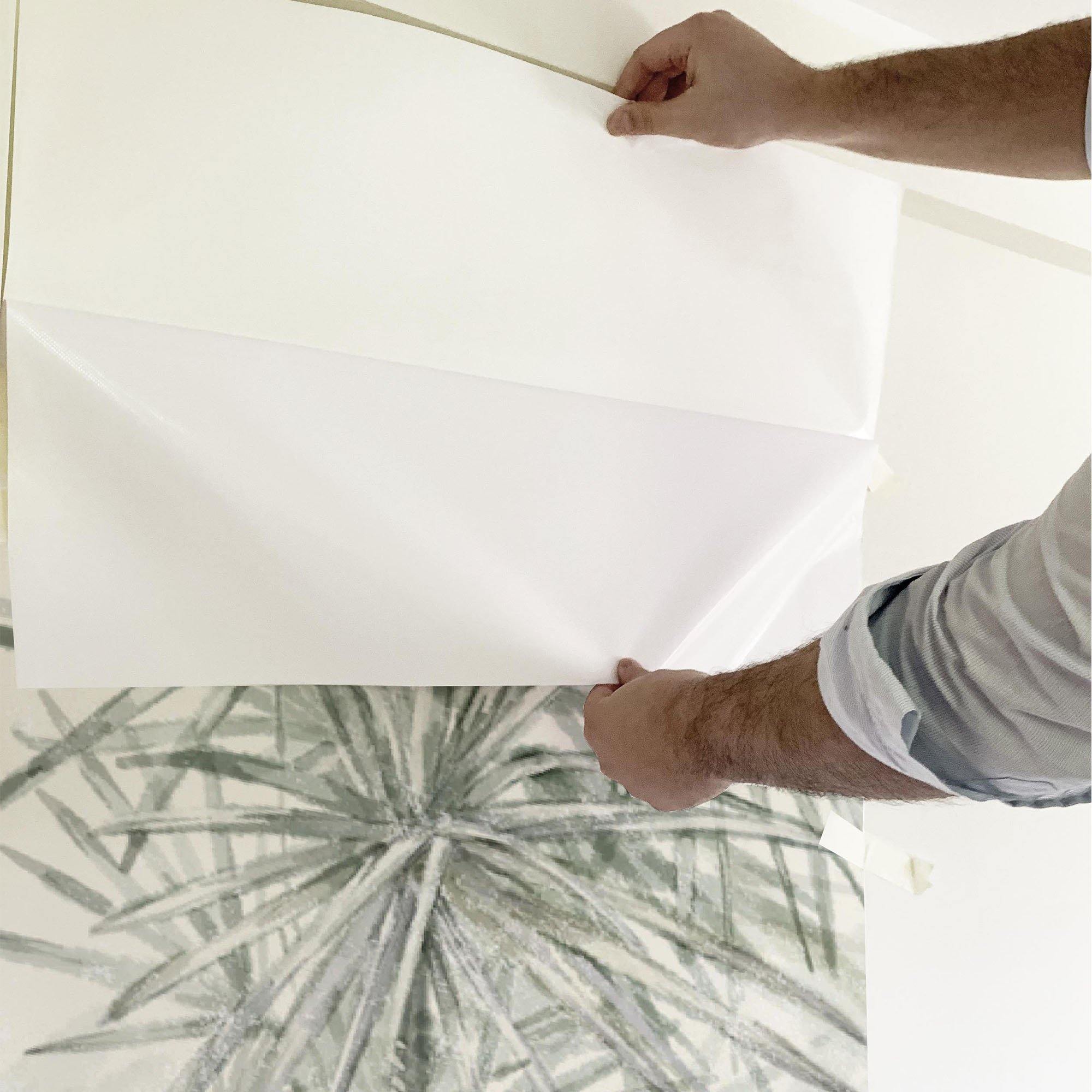 Mural Palacio de Cristal. Disponible en distintos tonos. - vinilaroom