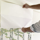 ANIMALES DEL BOSQUE. Disponible en 3 colores de fondo. Despégalo y pégalo donde quieras. - vinilaroom