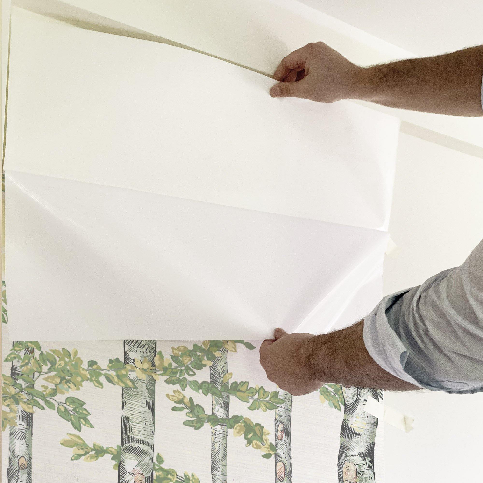 ANIMALES DEL BOSQUE. Disponible en 3 colores de fondo. Despégalo y pégalo donde quieras. - vinilaroom